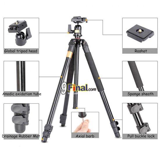 QZSD Q308 Professional Photographic Portable Mini Tripod For Canon Camera With Aluminum Alloy Tripods - ꡷ٻ ͻԴ˹ҵҧ